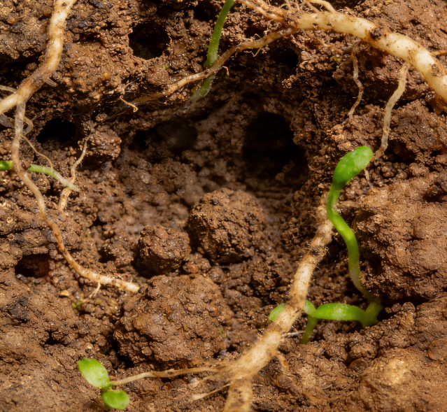 ����ˮ�ݜy���x�x���a���R�������}�A�����^ + ��̽�^�L�ȿɶ���